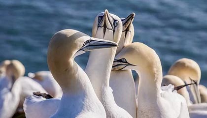 探索未来科技新体验——kaiyun官网全方位解读